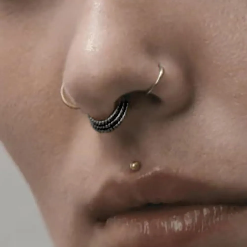16G Hinged Nose Rings Hoops: 316L Surgical Steel Septum Rings Hoops, Hinged Segment Nose Lips Helix Cartilage Clicker Hoop Earrings,Rook Daith Tragus Piercing Rings for Women Men 8mm