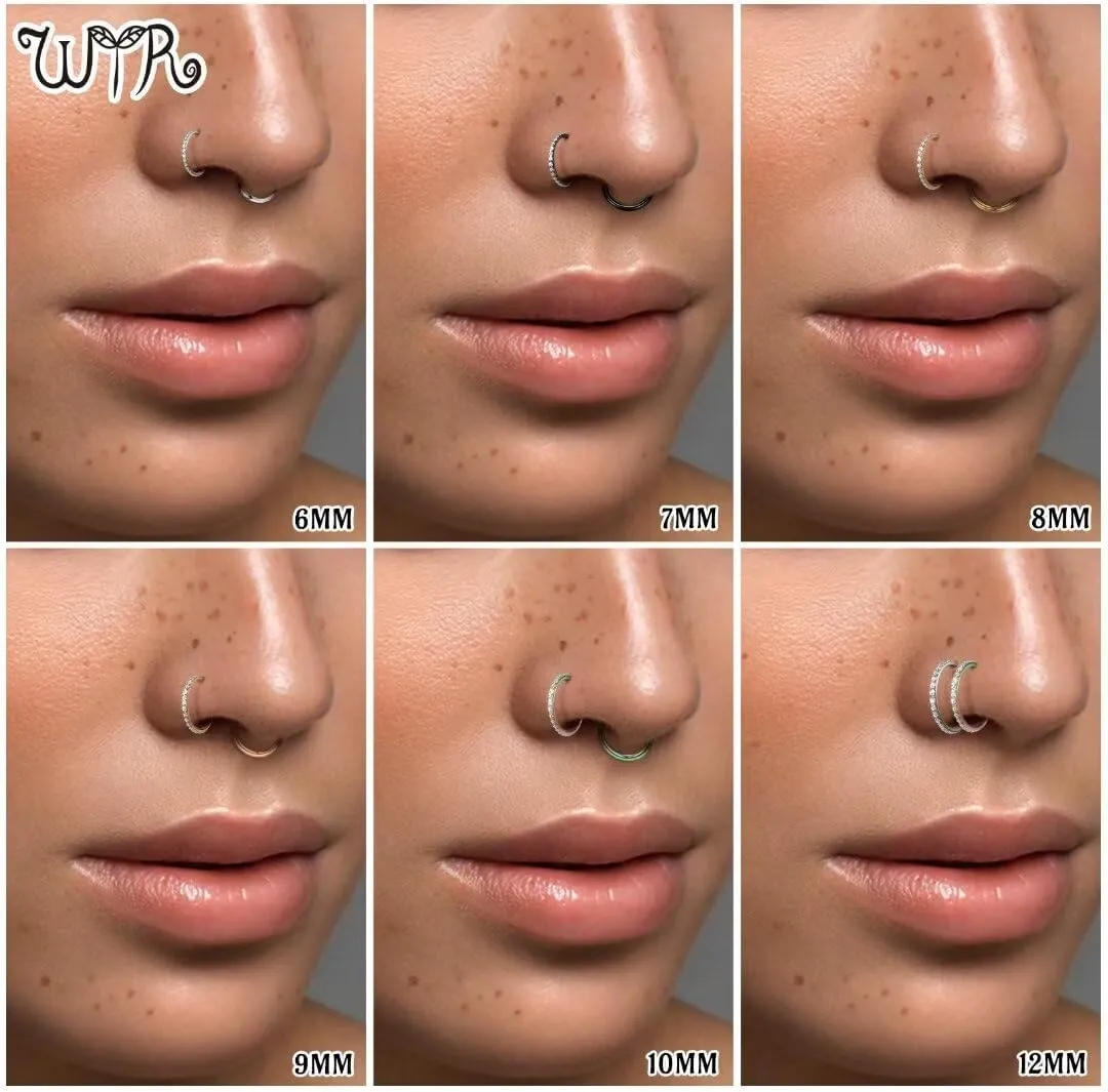 20G 18G 16G 14G Hoop Nose Rings: 7mm 8mm 9mm 10mm 12mm 2 Pcs Surgical Steel Septum Rings Clicker for Lip Cartilage Helix Tragus Conch Rook Daith Lobe Seamless Hoop Unisex Hinged Body Piercing Jewelry