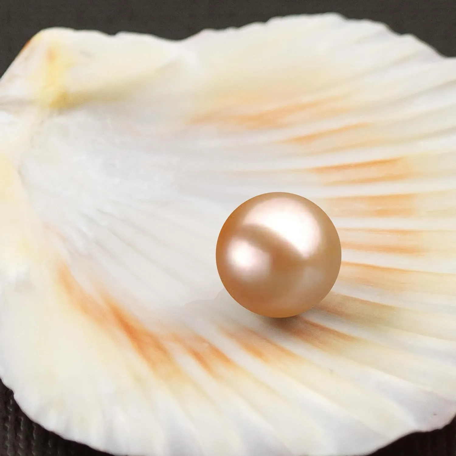Japanese Freshwater Loose Cultured Pearls AAAA Graded Pink Color 5-12mm Half Ful or Undrilled for Jewelry Making Rings, Pendants, Earrings Add On Beads ??Orien Jewelry